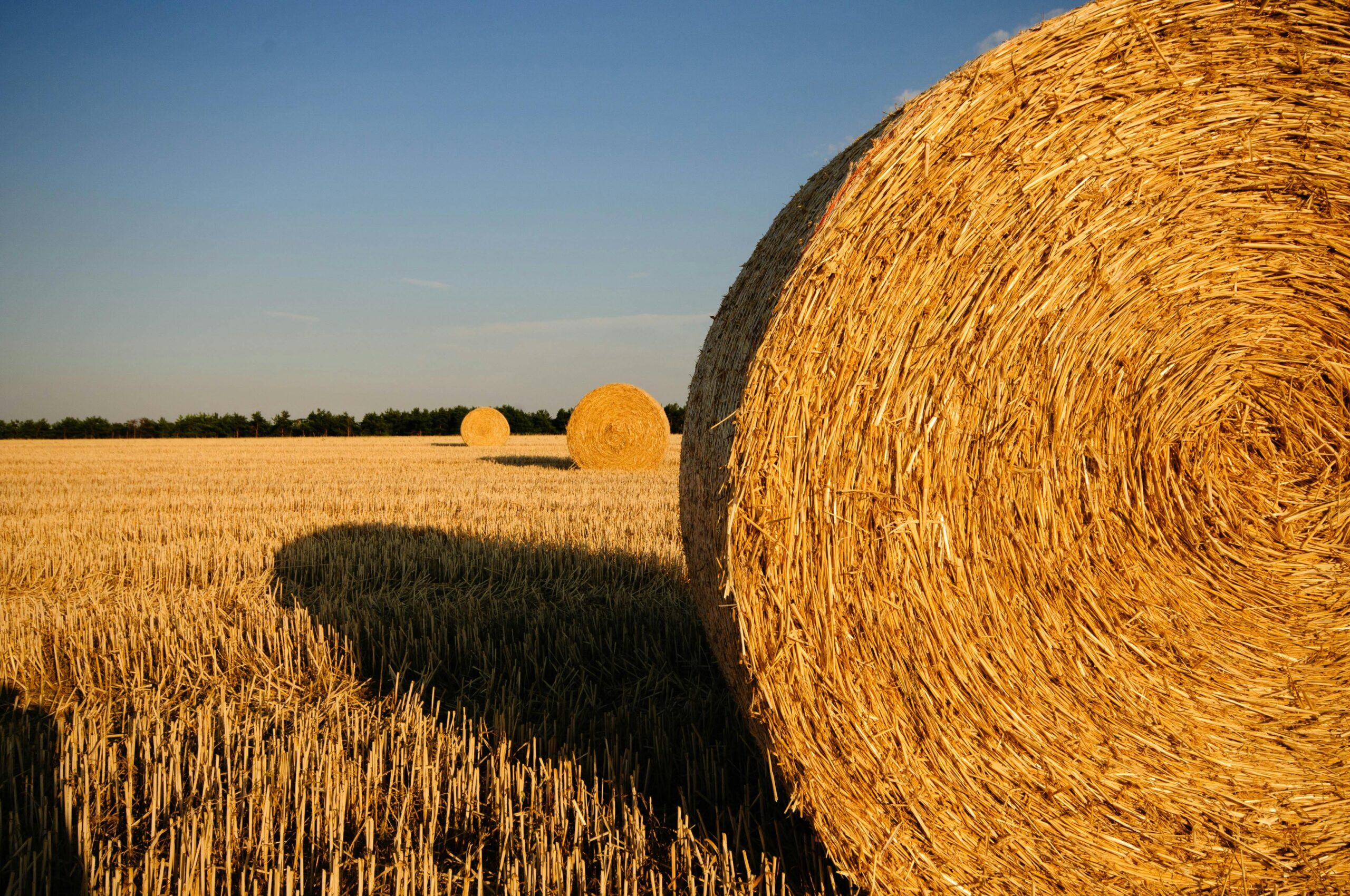 How Much Does a Bale of Wheat Straw Weigh